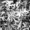 Galaxy Formation (2014)
