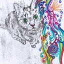 Cat by Lottie Dingle