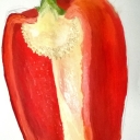 Pepper by Lottie Dingle