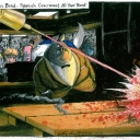 Mr Spanish Government Bond by Martin Rowson