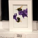 Visual Abstraction - 22 - Sophie Lewis - Bees